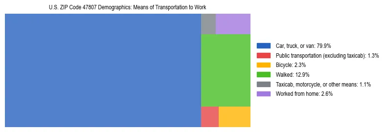 Treemap showing means of transportation to work distribution in US ZIP Code 47807.