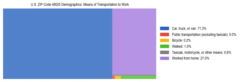 Treemap showing means of transportation to work distribution in US ZIP Code 48025.