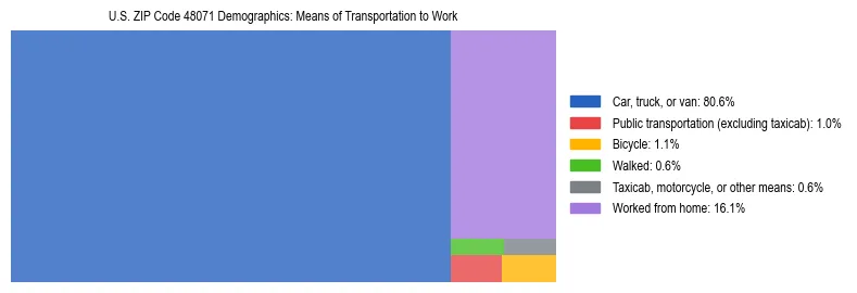Treemap showing means of transportation to work distribution in US ZIP Code 48071.