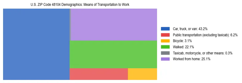 Treemap showing means of transportation to work distribution in US ZIP Code 48104.