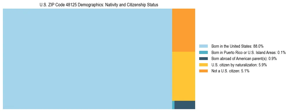 Treemap showing the population distribution by nativity and citizenship status in US ZIP Code 48125 based on U.S. Census data.