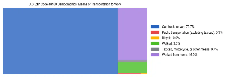 Treemap showing means of transportation to work distribution in US ZIP Code 48160.