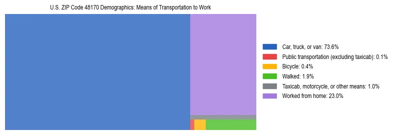 Treemap showing means of transportation to work distribution in US ZIP Code 48170.