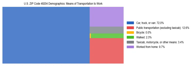 Treemap showing means of transportation to work distribution in US ZIP Code 48204.
