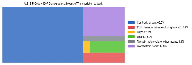Treemap showing means of transportation to work distribution in US ZIP Code 48207.