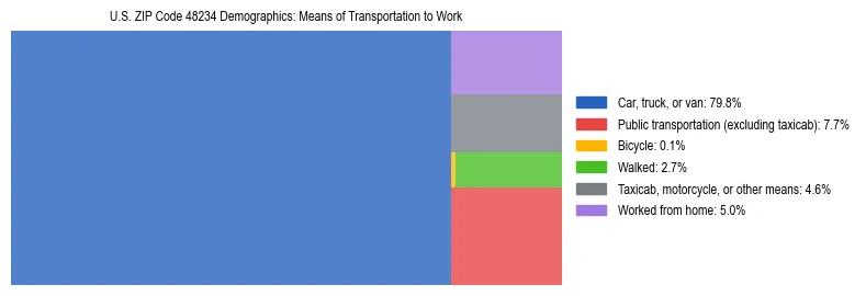 Treemap showing means of transportation to work distribution in US ZIP Code 48234.