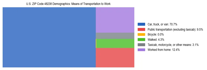 Treemap showing means of transportation to work distribution in US ZIP Code 48238.