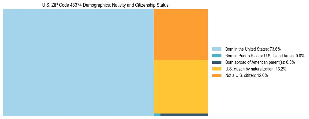 Treemap showing the population distribution by nativity and citizenship status in US ZIP Code 48374 based on U.S. Census data.