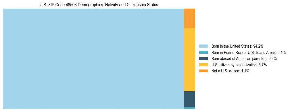 Treemap showing the population distribution by nativity and citizenship status in US ZIP Code 48503 based on U.S. Census data.