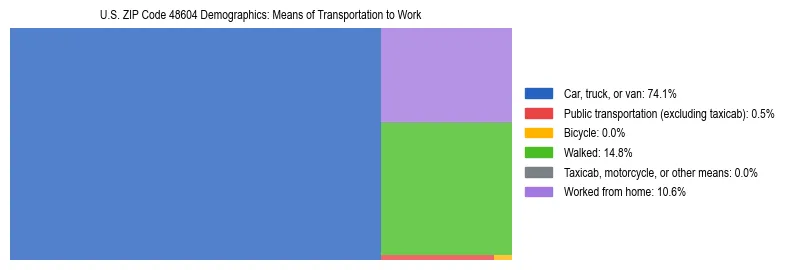 Treemap showing means of transportation to work distribution in US ZIP Code 48604.