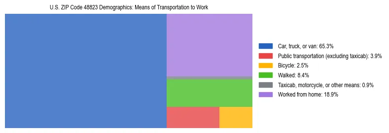 Treemap showing means of transportation to work distribution in US ZIP Code 48823.