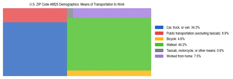 Treemap showing means of transportation to work distribution in US ZIP Code 48825.