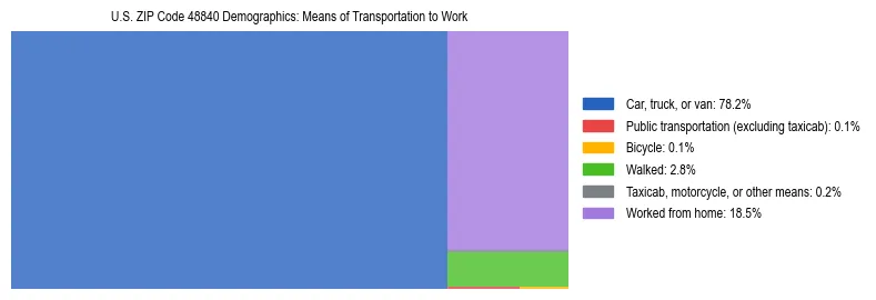 Treemap showing means of transportation to work distribution in US ZIP Code 48840.