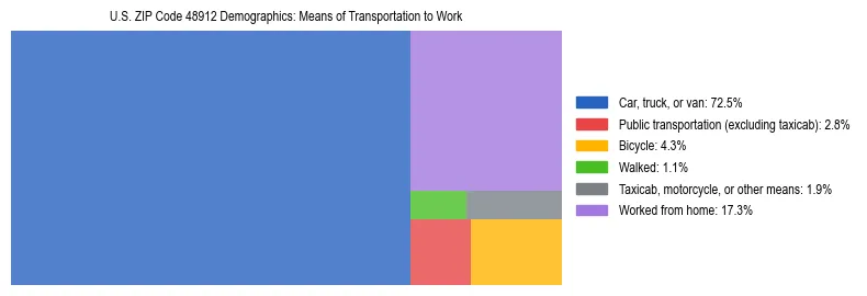 Treemap showing means of transportation to work distribution in US ZIP Code 48912.