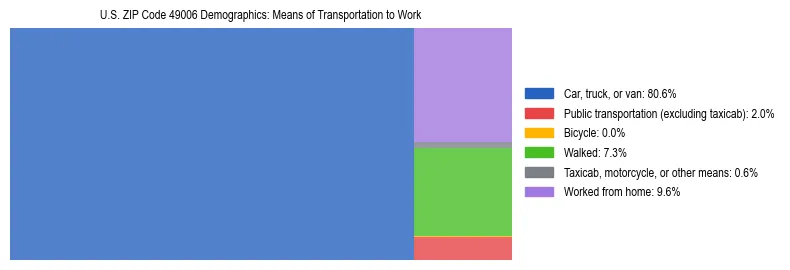 Treemap showing means of transportation to work distribution in US ZIP Code 49006.