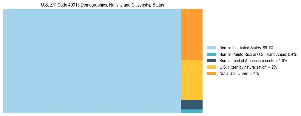 Treemap showing the population distribution by nativity and citizenship status in US ZIP Code 49015 based on U.S. Census data.