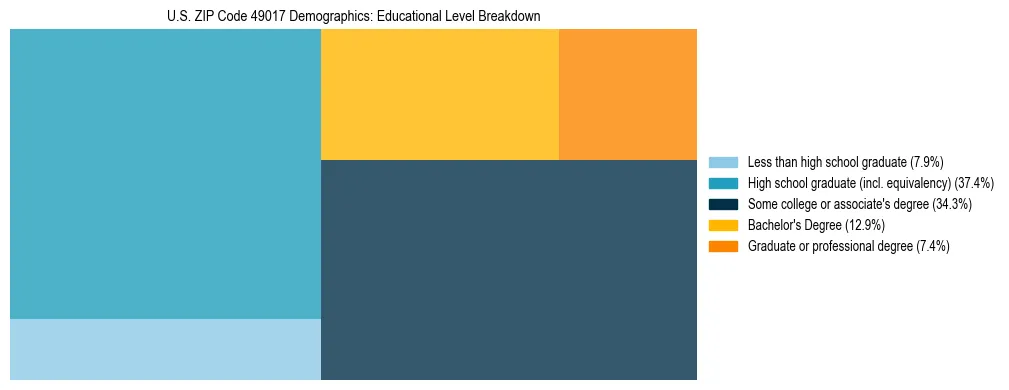 Treemap chart illustrating the educational attainment breakdown for population 25 years and over in US ZIP Code 49017.