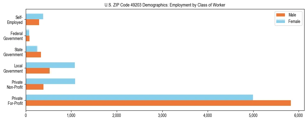 Horizontal bar chart showing employment distribution by class of worker and gender in US ZIP Code 49203, based on 2023 ACS data.
