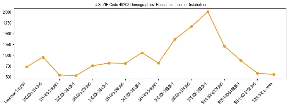 Horizontal bar chart showing household income distribution in US ZIP Code 49203.