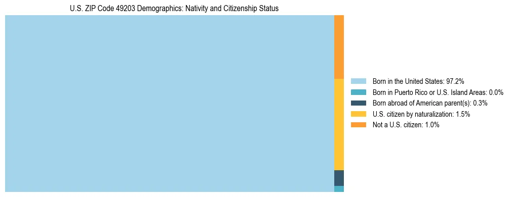 Treemap showing the population distribution by nativity and citizenship status in US ZIP Code 49203 based on U.S. Census data.