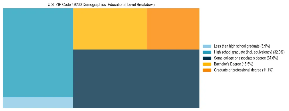 Treemap chart illustrating the educational attainment breakdown for population 25 years and over in US ZIP Code 49230.