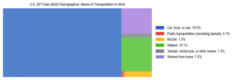 Treemap showing means of transportation to work distribution in US ZIP Code 49242.