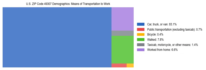Treemap showing means of transportation to work distribution in US ZIP Code 49307.