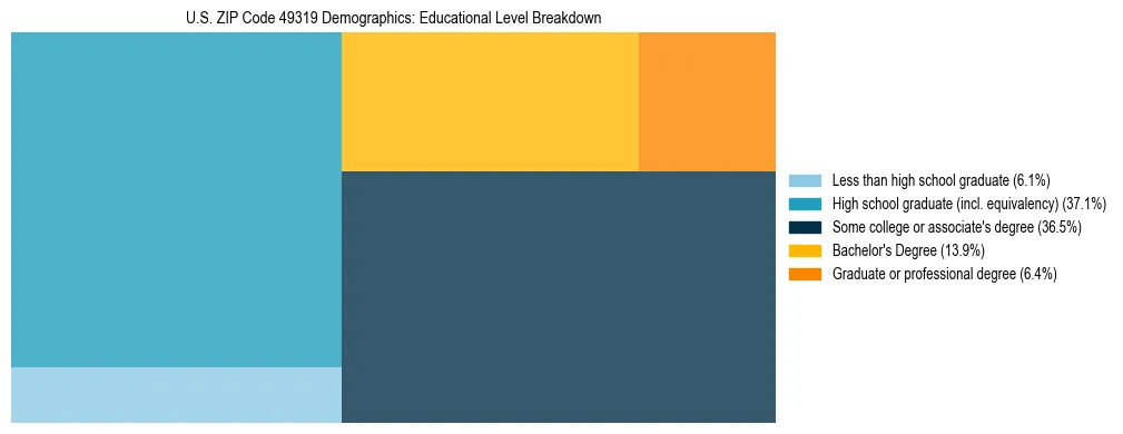 Treemap chart illustrating the educational attainment breakdown for population 25 years and over in US ZIP Code 49319.