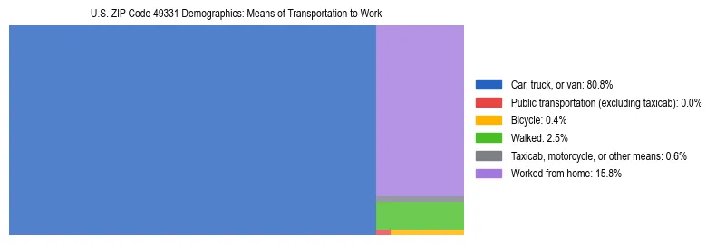 Treemap showing means of transportation to work distribution in US ZIP Code 49331.