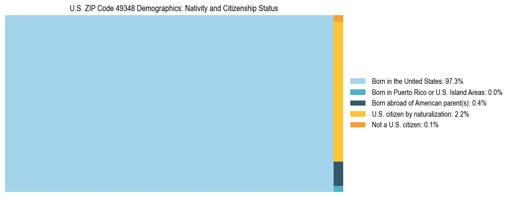 Treemap showing the population distribution by nativity and citizenship status in US ZIP Code 49348 based on U.S. Census data.