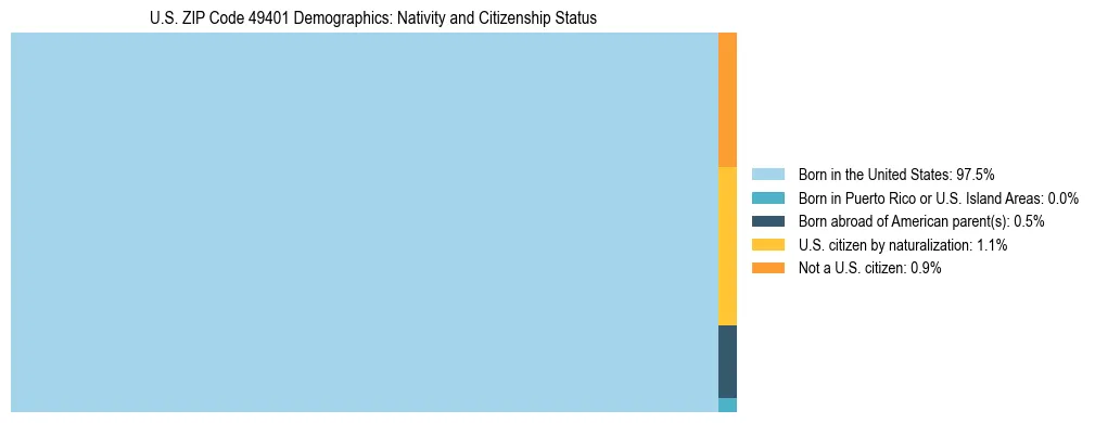 Treemap showing the population distribution by nativity and citizenship status in US ZIP Code 49401 based on U.S. Census data.