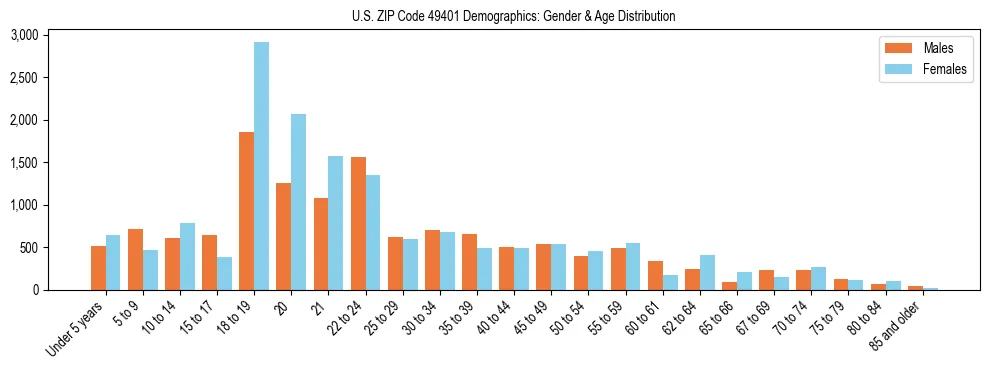Bar chart showing the population distribution of US ZIP Code 49401 by age group and gender, based on 2023 ACS data.