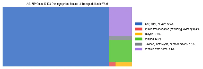 Treemap showing means of transportation to work distribution in US ZIP Code 49423.
