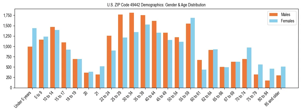 Bar chart showing the population distribution of US ZIP Code 49442 by age group and gender, based on 2023 ACS data.