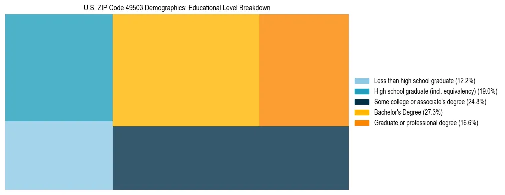 Treemap chart illustrating the educational attainment breakdown for population 25 years and over in US ZIP Code 49503.