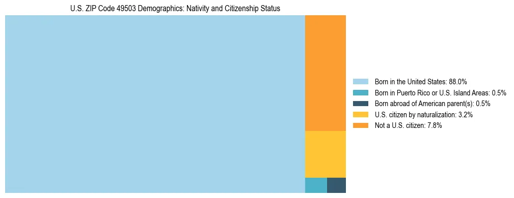 Treemap showing the population distribution by nativity and citizenship status in US ZIP Code 49503 based on U.S. Census data.