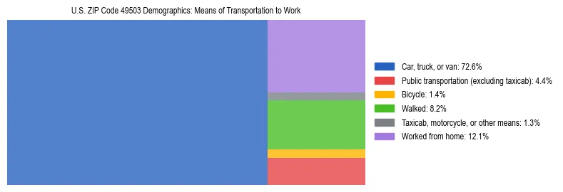 Treemap showing means of transportation to work distribution in US ZIP Code 49503.