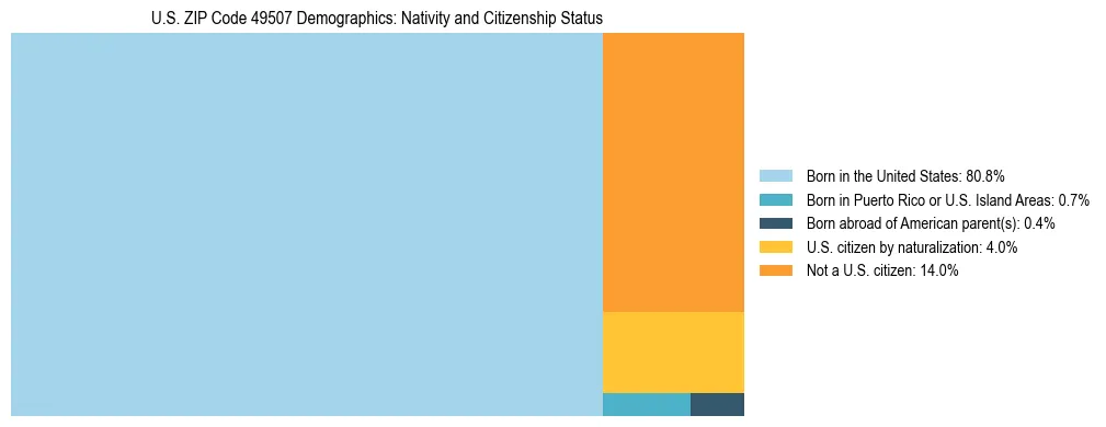 Treemap showing the population distribution by nativity and citizenship status in US ZIP Code 49507 based on U.S. Census data.