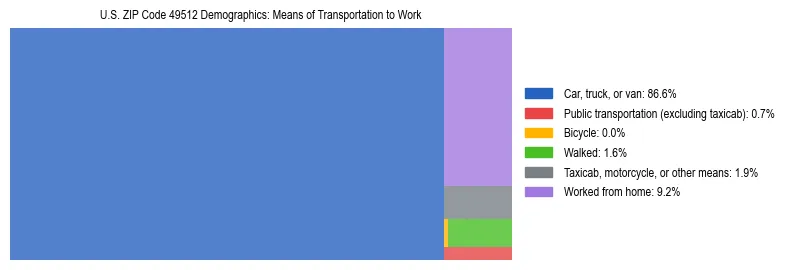 Treemap showing means of transportation to work distribution in US ZIP Code 49512.