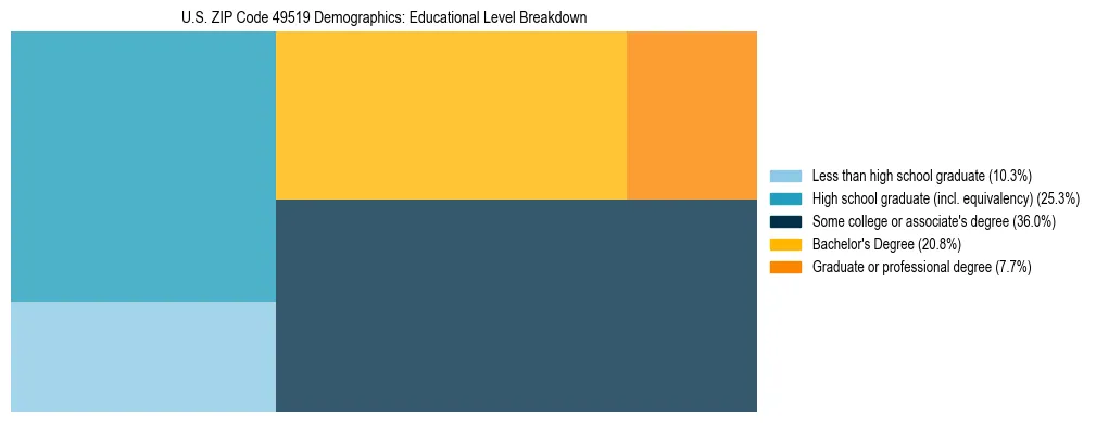 Treemap chart illustrating the educational attainment breakdown for population 25 years and over in US ZIP Code 49519.