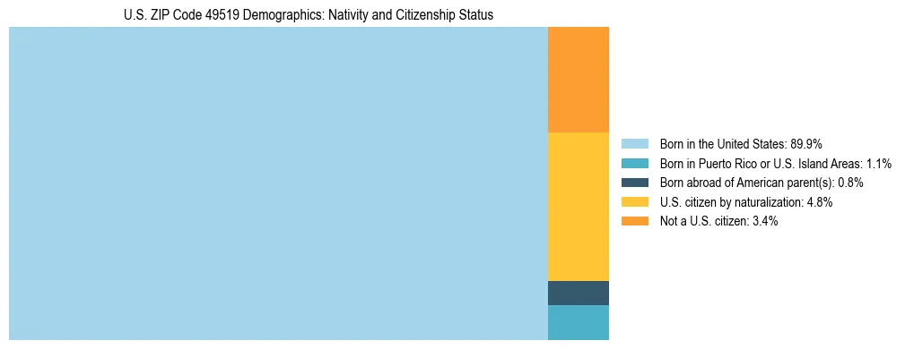 Treemap showing the population distribution by nativity and citizenship status in US ZIP Code 49519 based on U.S. Census data.