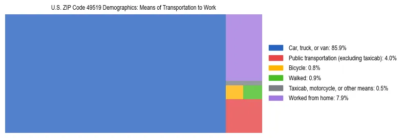 Treemap showing means of transportation to work distribution in US ZIP Code 49519.