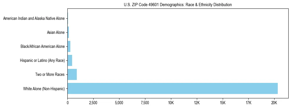 Race and Ethnicity Distribution Chart for US ZIP Code 49601