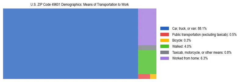 Treemap showing means of transportation to work distribution in US ZIP Code 49601.