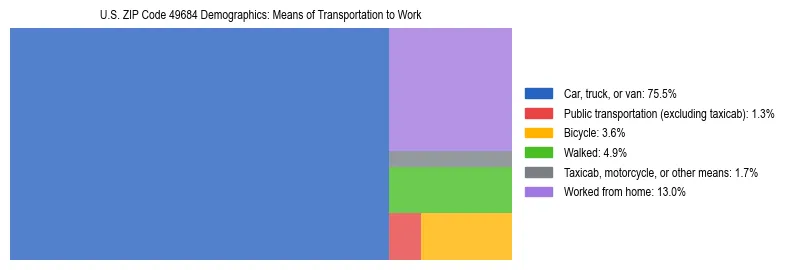 Treemap showing means of transportation to work distribution in US ZIP Code 49684.