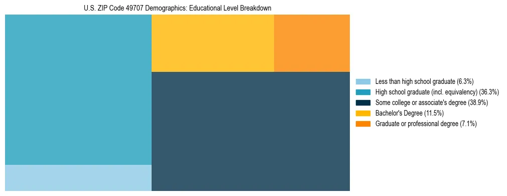 Treemap chart illustrating the educational attainment breakdown for population 25 years and over in US ZIP Code 49707.