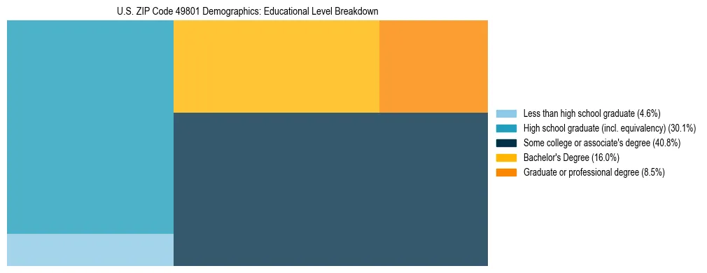 Treemap chart illustrating the educational attainment breakdown for population 25 years and over in US ZIP Code 49801.