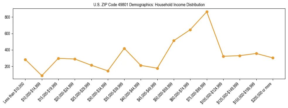 Horizontal bar chart showing household income distribution in US ZIP Code 49801.