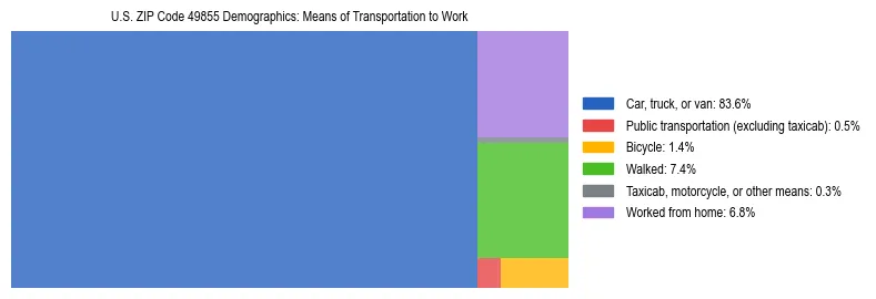 Treemap showing means of transportation to work distribution in US ZIP Code 49855.