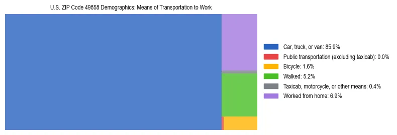 Treemap showing means of transportation to work distribution in US ZIP Code 49858.